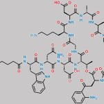 Daptomycin Impurity 7 CAS#: 2440130-73-2
