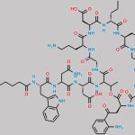 Daptomycin Impurity 10 CAS#: N/A