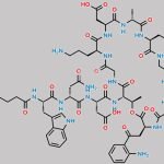 Daptomycin Isodecy Acyl Isomer CAS#: 1233389-15-5