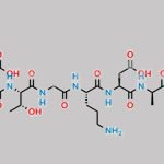Daptomycin Lactone Open Ring Impurity CAS#: N/A