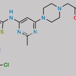 Dasatinib Carboxylic Acid Ethyl Ester CAS#: 910297-62-0