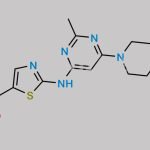 Dasatinib Impurity 13 CAS#: 1159977-25-9