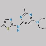 Dasatinib Impurity 16 CAS#: 910297-58-4