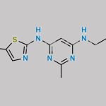 Dasatinib Impurity 24 CAS#: 1025814-13-4