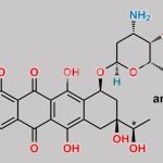 Daunorubicin EP Impurity B CAS#: N/A