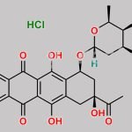 Daunorubicin Hydrochloride CAS#: 23541-50-6