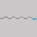 Decylamine HCl CAS#: 143-09-9