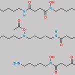 Deferoxamine EP Impurity K CAS#: N/A