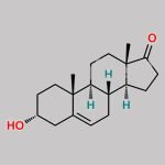Dehydro Androsterone CAS#: 2283-82-1