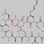 Dehydro Cyclosporin CAS#: N/A