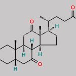Dehydrocholic Acid CAS#: 81-23-2