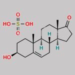 Dehydroepiandrosterone Sulfate CAS#: 12707-71-0