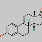 Delta-9,11-Dehydro Estrone CAS#: 1089-80-1