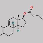 Delta-9(11)-Estradiol 17-Enanthate CAS#: 95960-05-7