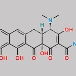 Demeclocycline EP Impurity E CAS#: 4496-85-9