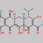 Demeclocycline Hydrochloride CAS#: 64-73-3