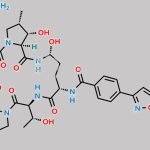 Deoxy Micafungin Impurity CAS#: 1392514-06-5