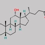 Deoxycholic Acid Ethyl Ester CAS#: 69519-35-3