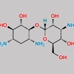 Deoxystreptamine Kanosaminide CAS#: 20744-51-8