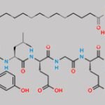 Des-Gly31-Liraglutide CAS#: N/A
