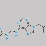 Des-Phenol Tenofovir Alfenamide+Tenofovir Alafenamide Dimer CAS#: N/A
