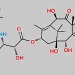 Desbenzoyl Docetaxel CAS#: 160972-48-5