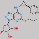 Deshydroxyethoxy Ticagrelor CAS#: 220347-05-7