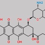 Desmethyl Doxorubicin CAS#: N/A