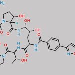 Desmethyl Micafungin (USP) CAS#: 1392514-03-2