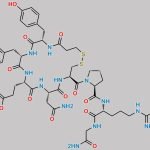 Desmopressin EP Impurity B CAS#: N/A