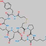 Desmopressin EP Impurity D CAS#: 113-81-5
