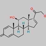 Desonide USP Related Compound B CAS#: 3103-17-1