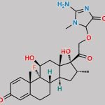 Dexamethasone Impurity 26 CAS#: N/A