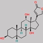 Digoxin EP Impurity C CAS#: 1672-46-4