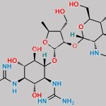 Dihydrostreptomycin sulfate EP Impurity D CAS#: 26086-49-7