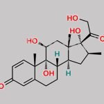 Dihydroxy Beclometasone CAS#: N/A