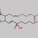 Dinoprostone EP Impurity E CAS#: 13367-85-6