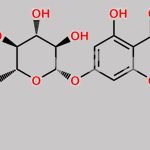 Diosmin EP Impurity C CAS#: 552-57-8