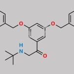 Diphenylmethoxy Terbutaline CAS#: 52144-90-8