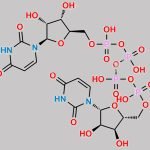 Diquafosol CAS#: 59985-21-6