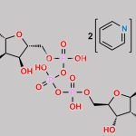 Diquafosol Impurity 1 CAS#: N/A