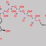 Diquafosol Impurity 2 CAS#: 211448-70-3