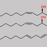 Diricinoleoyl-linoleoyl-glycerol CAS#: N/A