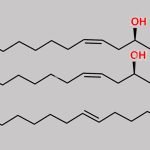 Diricinoleoyl-oleoyl-glycerol CAS#: N/A