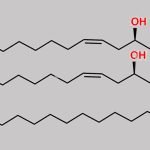 Diricinoleoyl-palmitoyl-glycerol CAS#: 2281875-36-1