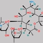 Dirithromycin EP Impurity A CAS#: 26116-56-3