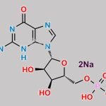 Disodium 5′-Guanylate CAS#: 5550-12-9