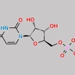Disodium 5'-Uridylate CAS#: 3387-36-8