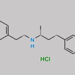 Dobutamine Impurity 5 CAS#: 82473-36-7