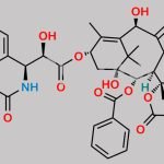 Docetaxel CAS#: 114977-28-5